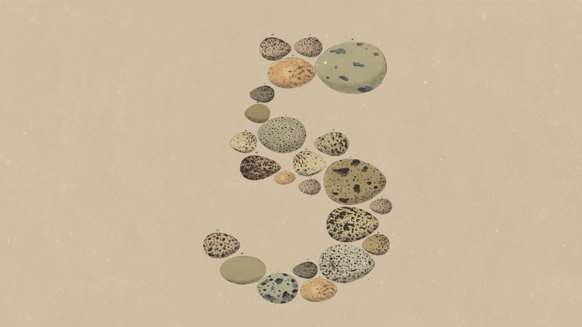 Introducing Claude Opus 5: a numeral five composed of illustrated birds eggs on a beige field